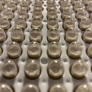 Magic Mushrooms Capsules