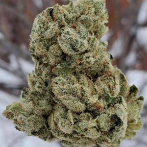 Gorilla glue