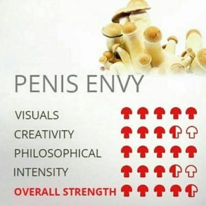 Penis Envy
