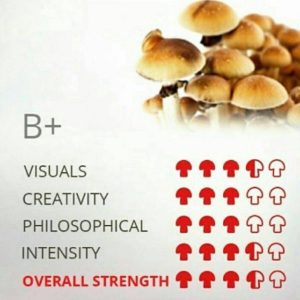 B+