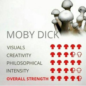 Moby Dick