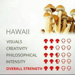 Hawaii