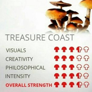 treasure coast